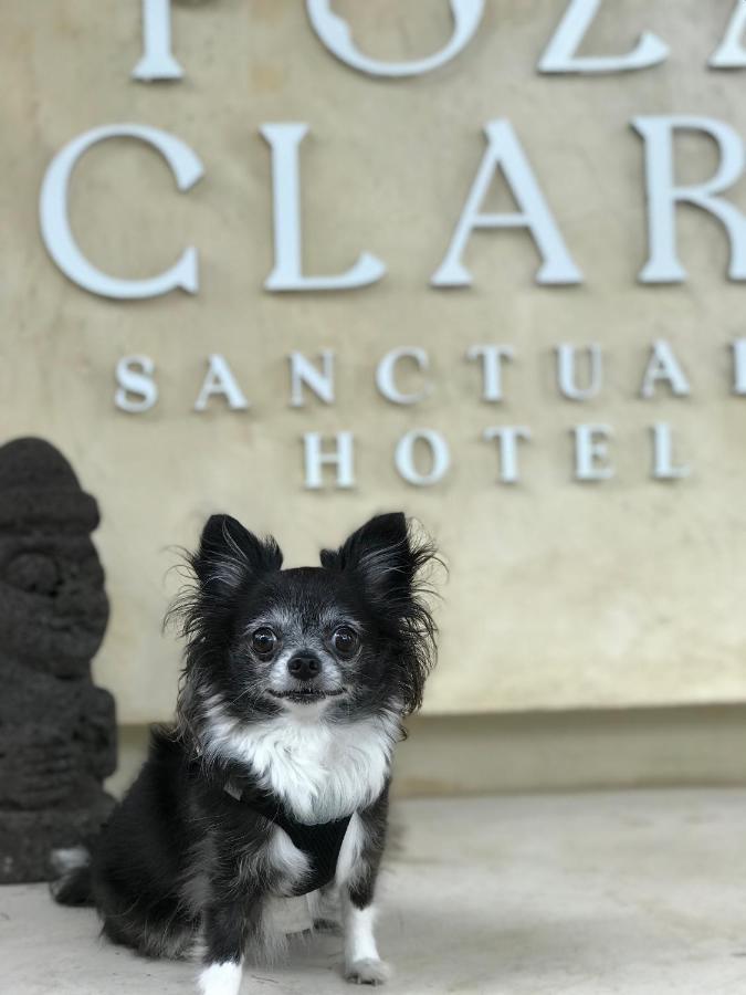 Poza Clara Sanctuary Hotel บากาลาร์ ภายนอก รูปภาพ